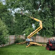 Best Lot and Land Clearing  in Ridgetop, TN