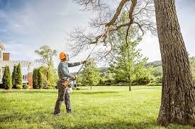 Best Lawn Pest Prevention  in Ridgetop, TN