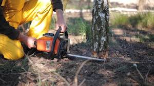 Best Leaf Removal  in Ridgetop, TN